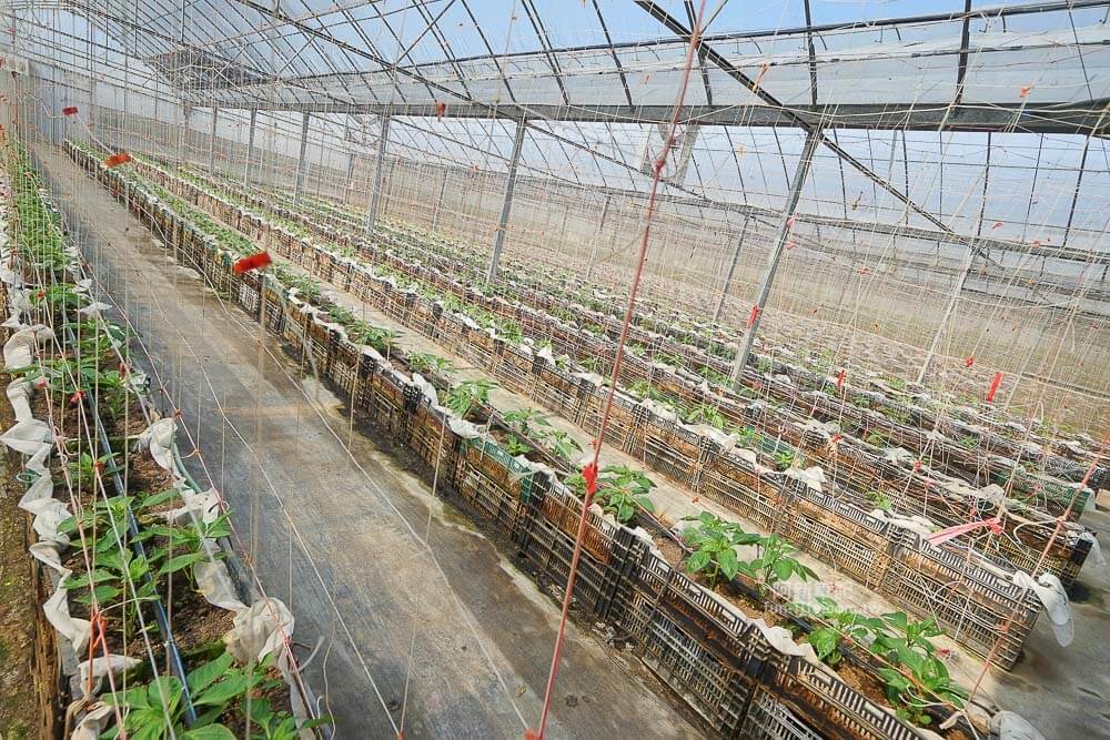 苗栗輕旅行借問站篇-08 苗栗輕旅行借問站篇-08