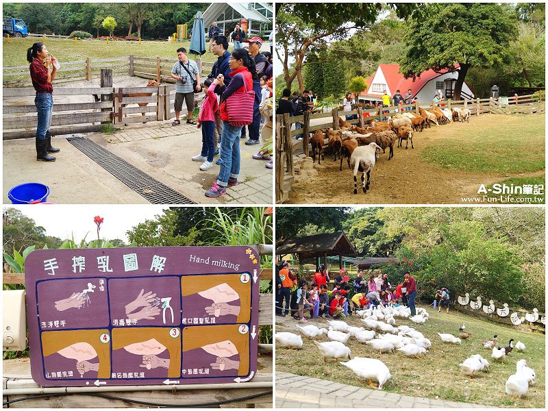 苗栗一日遊6 苗栗一日遊6