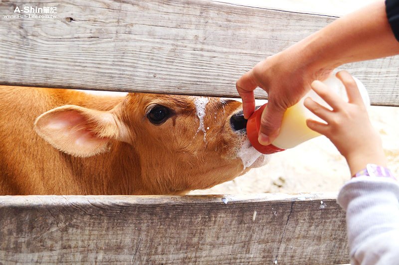 苗栗一日遊8 苗栗一日遊8