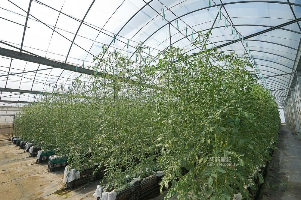 苗栗輕旅行借問站篇-10 苗栗輕旅行借問站篇-10