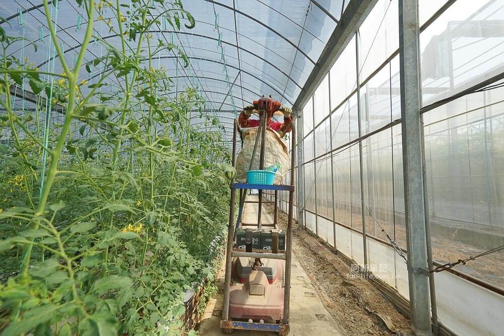 苗栗輕旅行借問站篇-12 苗栗輕旅行借問站篇-12