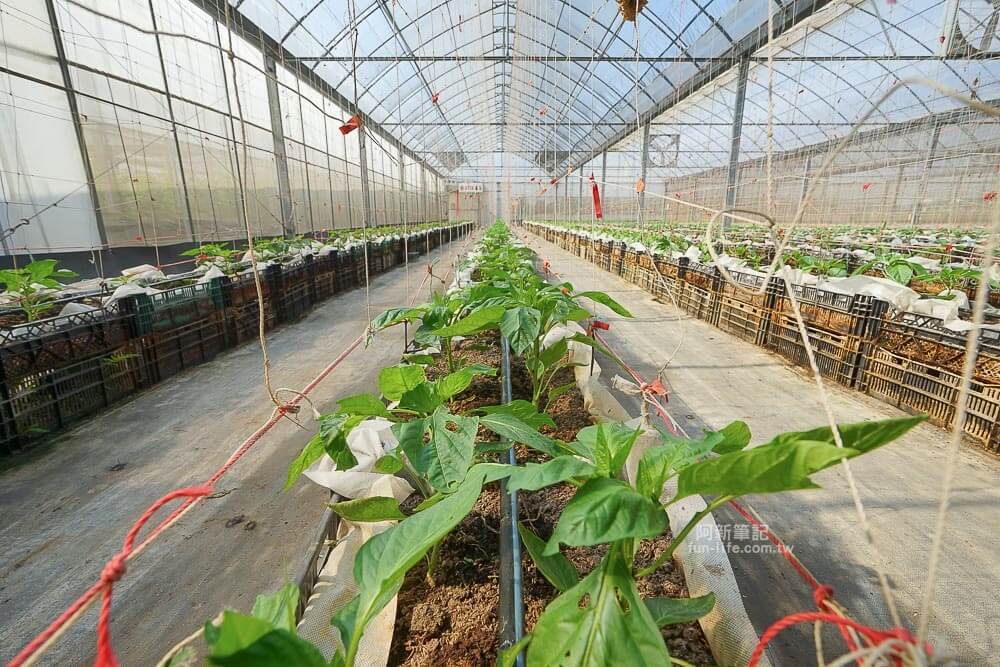 苗栗輕旅行借問站篇-09 苗栗輕旅行借問站篇-09