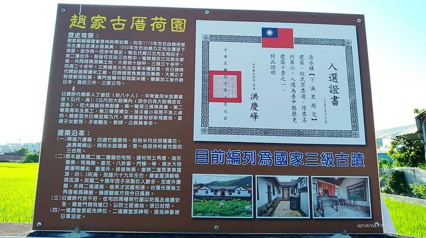 免跑遠，台中也有大片荷花池！清水趙家古厝荷園，福德祠旁荷花池盛開中 - 蘋果話日常