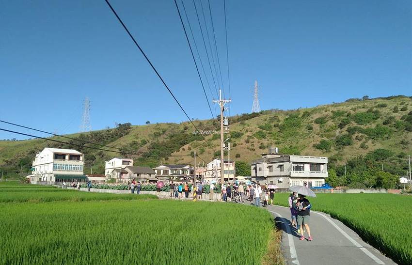 免跑遠，台中也有大片荷花池！清水趙家古厝荷園，福德祠旁荷花池盛開中 - 蘋果話日常