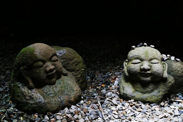 IMG_0467.JPG IMG_0467.JPG