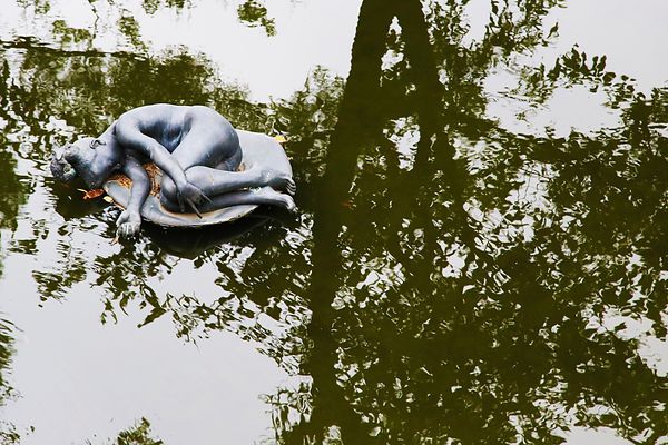 IMG_0463.JPG IMG_0463.JPG