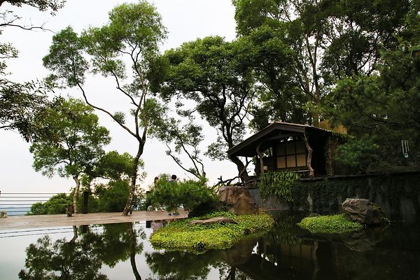 IMG_0478.JPG IMG_0478.JPG