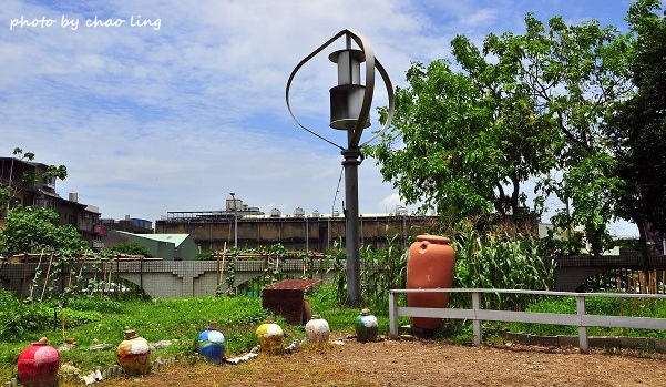 鳳鳴國中阿勃勒-18.JPG - 2016夏之豔陽(花季篇)