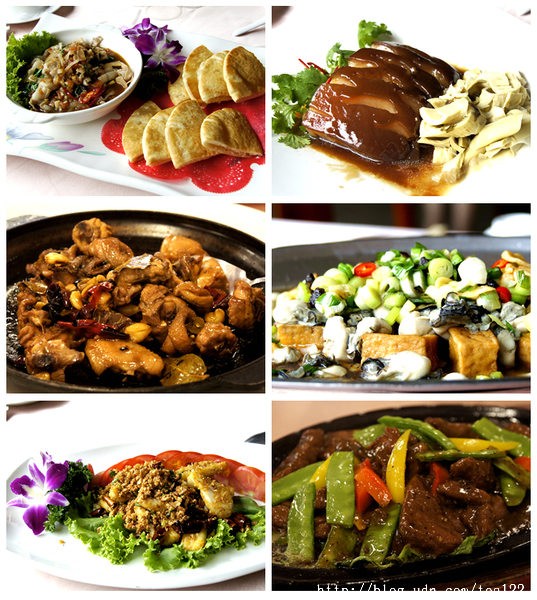 【老店故事系列】隱身東海大學內三十多年令人垂涎的川菜料理--東海大學IBA餐廳