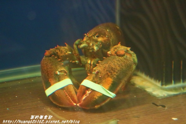 南寧饌精緻麻辣火鍋：【台北中山區】火鍋 熱炒 串燒 一應俱全『南寧饌精緻麻辣火鍋』中山區/吉林路/麻辣鍋宵夜好去處