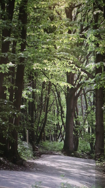 友你真好 小熊維尼特展：【展覽】小熊維尼「友你真好」特展@中正紀念堂