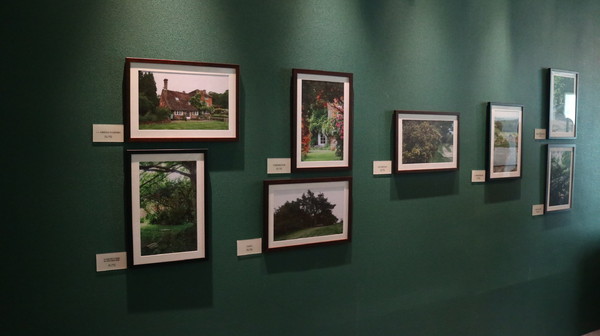 友你真好 小熊維尼特展：【展覽】小熊維尼「友你真好」特展@中正紀念堂