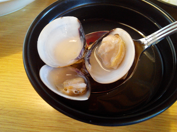 51街日式炸豬排和洋料理：【安南區】５１街日式炸豬排和洋料理。喀滋喀滋超厚實炸里肌豬排吃起來好過癮