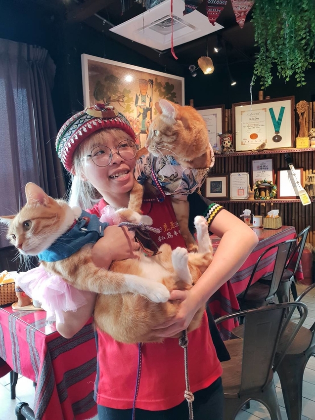 【花蓮.新城】慕名無菜單原住民料理。一人$650套餐超彭湃+自釀小米酒。寵物友善餐廳