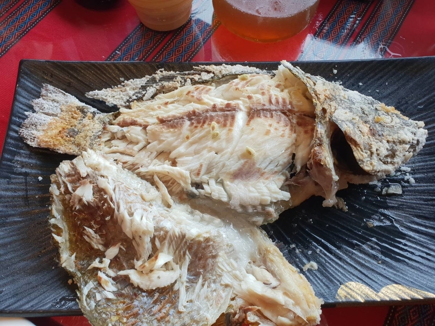 【花蓮.新城】慕名無菜單原住民料理。一人$650套餐超彭湃+自釀小米酒。寵物友善餐廳