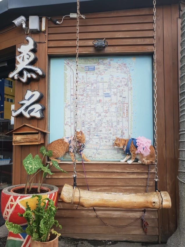 【花蓮.新城】慕名無菜單原住民料理。一人$650套餐超彭湃+自釀小米酒。寵物友善餐廳