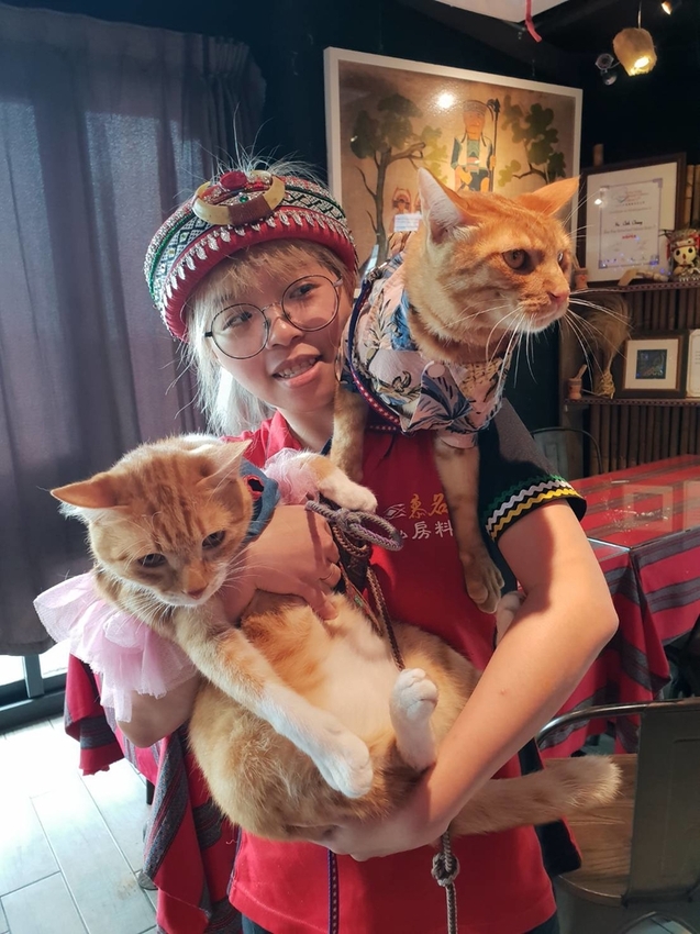 【花蓮.新城】慕名無菜單原住民料理。一人$650套餐超彭湃+自釀小米酒。寵物友善餐廳