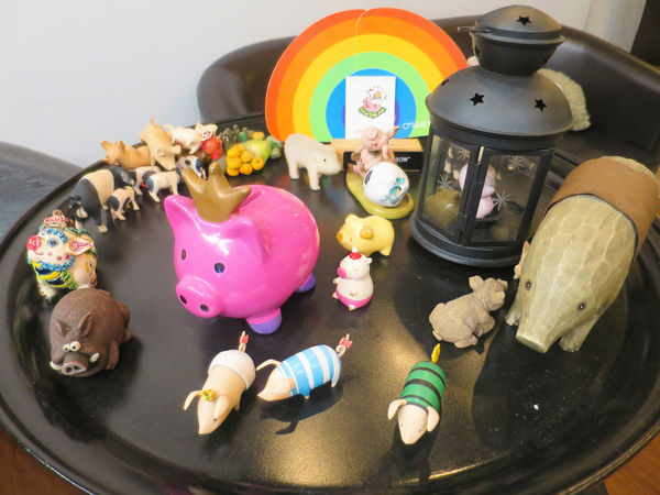 豬跳舞Dancing Pig (59).JPG