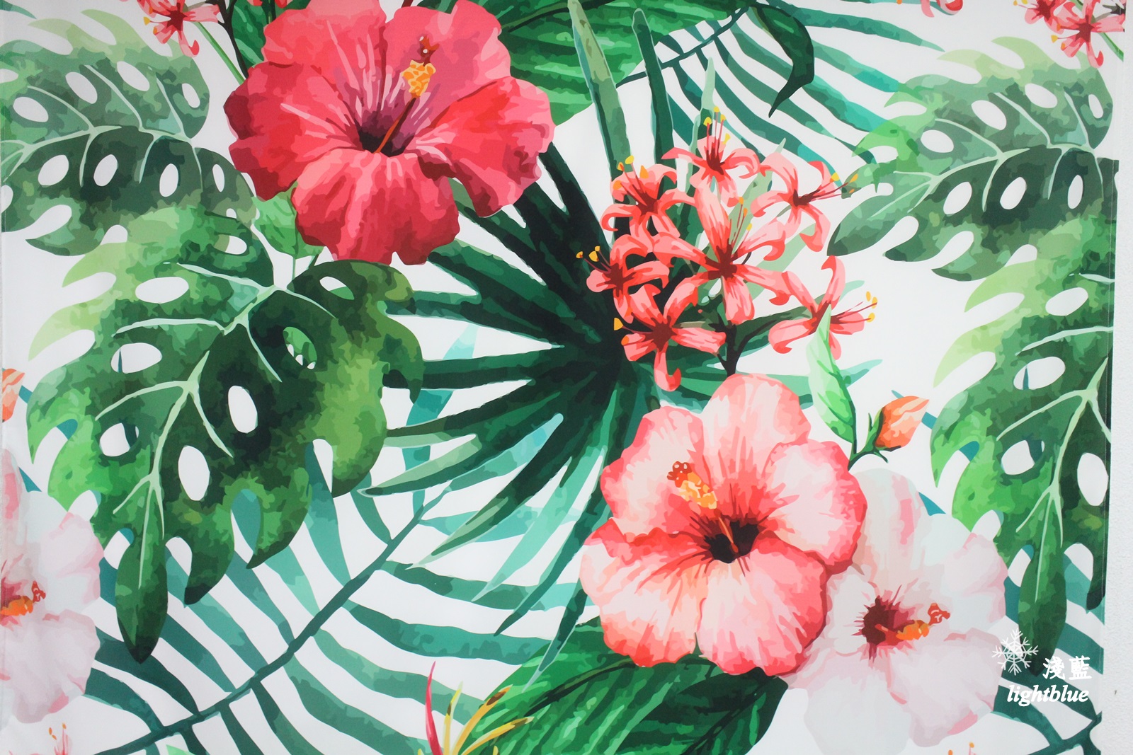 [ 民生社區美食 ] 淺藍 × BOKA～二訪草莓季，來吃美美的花圈與草莓戚風