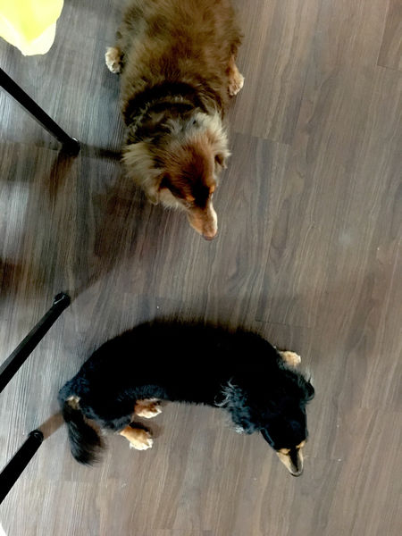 ［民生社區］Boka 草莓乳酪蛋糕