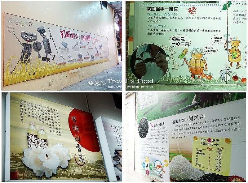 菇菇茶米館170826008