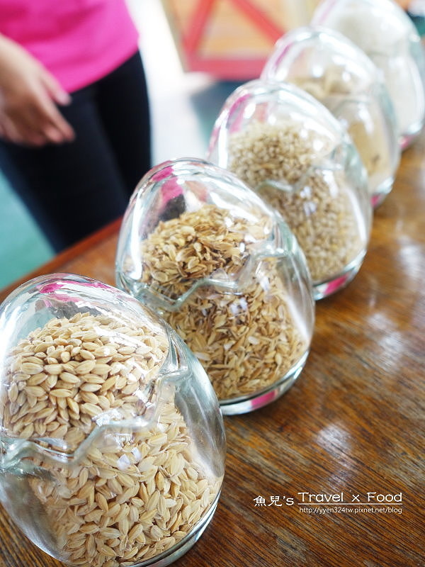 菇菇茶米館170826024