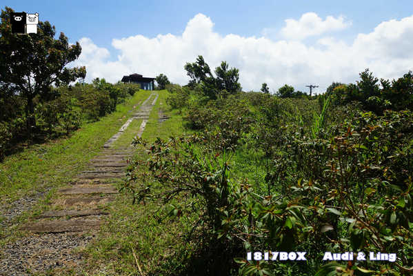 【屏東。牡丹】高士村純白神社鳥居。高士小神社。台版靖國神社。野牡丹神社公園