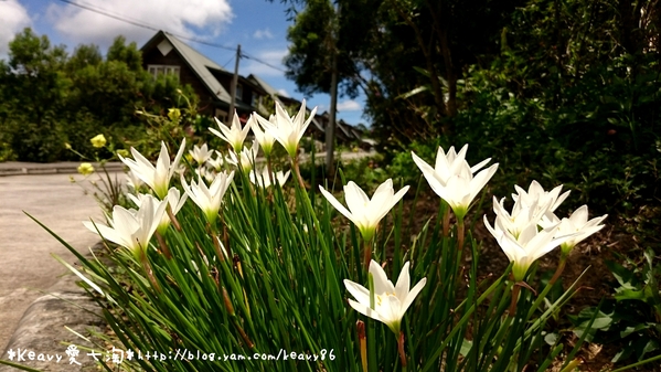 ★屏東牡丹★國境之南有座夢幻純白色日式鳥居【高士神社】