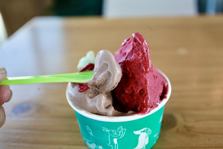 台南市安平區N吃。台南市｜安平區。「INAO Gelato 蜷尾家 經典冰淇淋」台南最知名冰淇淋店安平分店，熱爆了來挑高整棟清