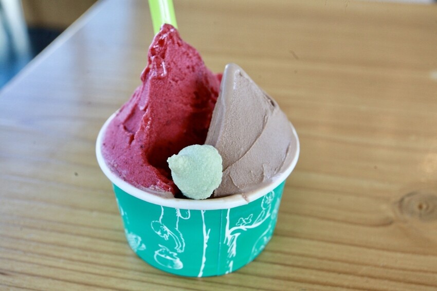 台南市安平區N吃。台南市｜安平區。「INAO Gelato 蜷尾家 經典冰淇淋」台南最知名冰淇淋店安平分店，熱爆了來挑高整棟清