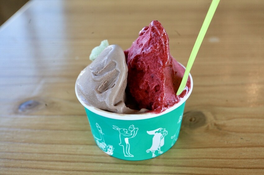 台南市安平區N吃。台南市｜安平區。「INAO Gelato 蜷尾家 經典冰淇淋」台南最知名冰淇淋店安平分店，熱爆了來挑高整棟清