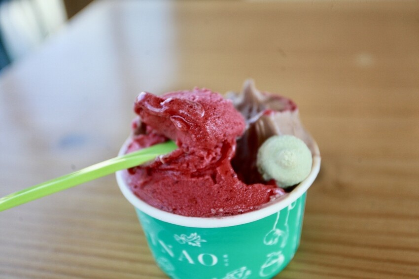 台南市安平區N吃。台南市｜安平區。「INAO Gelato 蜷尾家 經典冰淇淋」台南最知名冰淇淋店安平分店，熱爆了來挑高整棟清