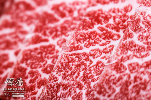 原燒優質原味燒肉(台北京華城店)|《台北市松山區“京華城優質全國連鎖燒肉”推薦》