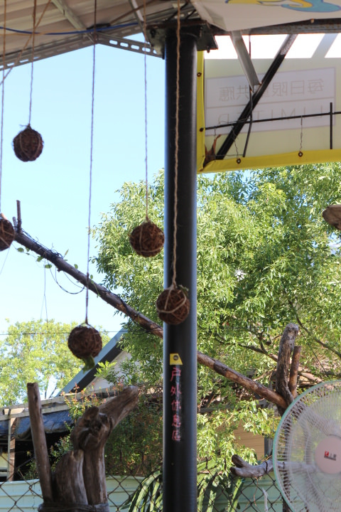 (台南仁德區)虎山雷創意蛋塔 友情萬歲、熱情無限與可以親子互動的文創小店