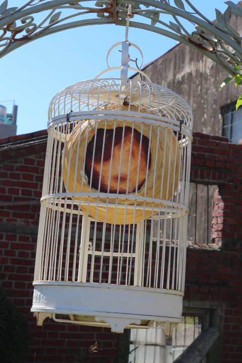 (台南仁德區)虎山雷創意蛋塔 友情萬歲、熱情無限與可以親子互動的文創小店