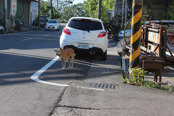 (台南仁德區)虎山雷創意蛋塔 友情萬歲、熱情無限與可以親子互動的文創小店
