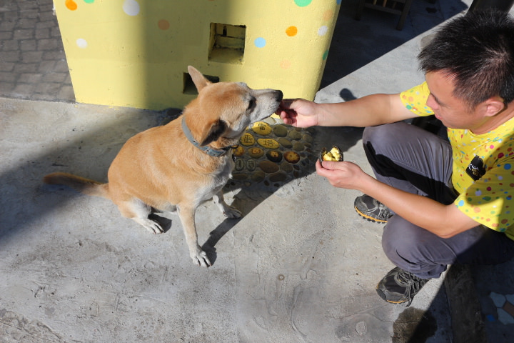 (台南仁德區)虎山雷創意蛋塔 友情萬歲、熱情無限與可以親子互動的文創小店