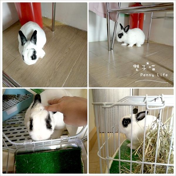 ||食記||-[台北捷運台北101/世貿站]-雨日菓物Amenohi cafe 日式風格溫馨甜點店