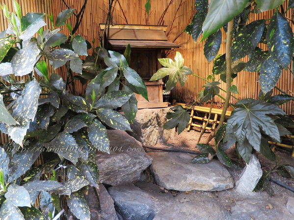 北國の旅 10.      當小祿來到狸小路..     狸小路＆本陣貍大明神社