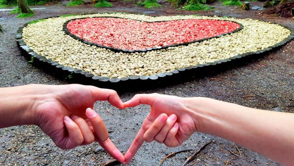 ▌金水九 • 不厭亭 ▌薇拉小公主超怕會有很多人知道的療癒景點 • 金水九彎公路上彷彿站在雲端的稜線公路…