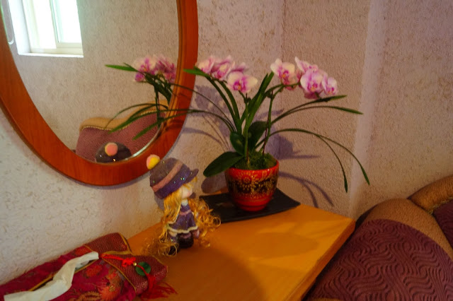 南投日月潭 「九族民宿渡假小屋」 - SGS認證民宿 九族文化村旁的溫馨木屋