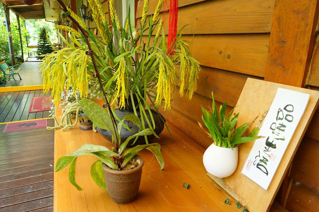 南投日月潭 「九族民宿渡假小屋」 - SGS認證民宿 九族文化村旁的溫馨木屋