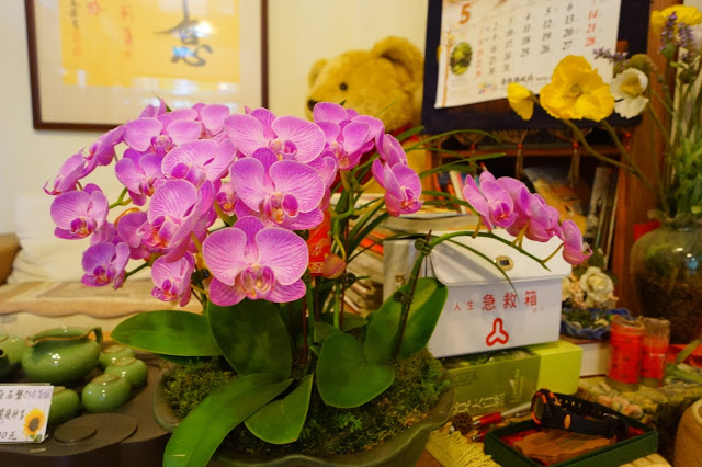 南投日月潭 「九族民宿渡假小屋」 - SGS認證民宿 九族文化村旁的溫馨木屋