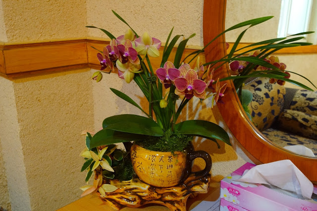 南投日月潭 「九族民宿渡假小屋」 - SGS認證民宿 九族文化村旁的溫馨木屋