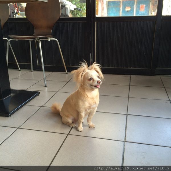 吉米老爹義大利麵:【竹北美食週記】超平價!口味比餐廳更濃厚,老闆怕出名的吉米老爹義大利麵。香甜金瓜濃湯,口味醇厚甘甜!大推薦! 吉米老爹義大利麵:【竹北美食週記】超平價!口味比餐廳更濃厚,老闆怕出名的吉米老爹義大利麵。香甜金瓜濃湯,口味醇厚甘甜!大推薦!