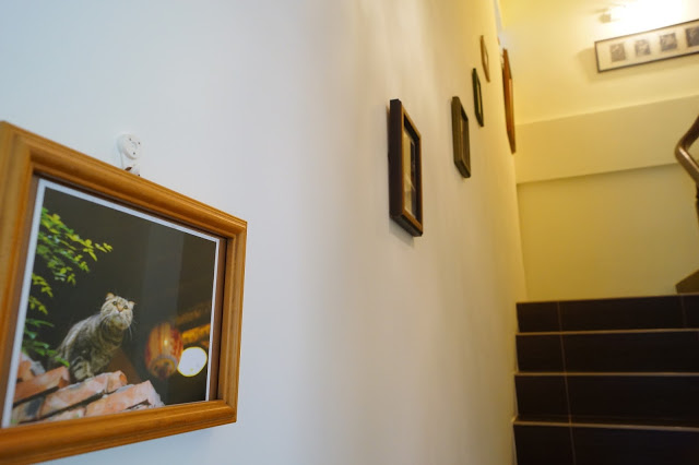 台東市 「胖咪民宿」 - 混搭現代與峇里風格的全新貓咪風格民宿