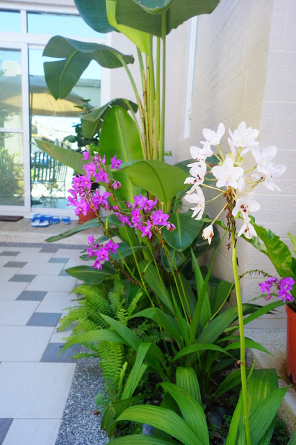 台東市 「胖咪民宿」 - 混搭現代與峇里風格的全新貓咪風格民宿