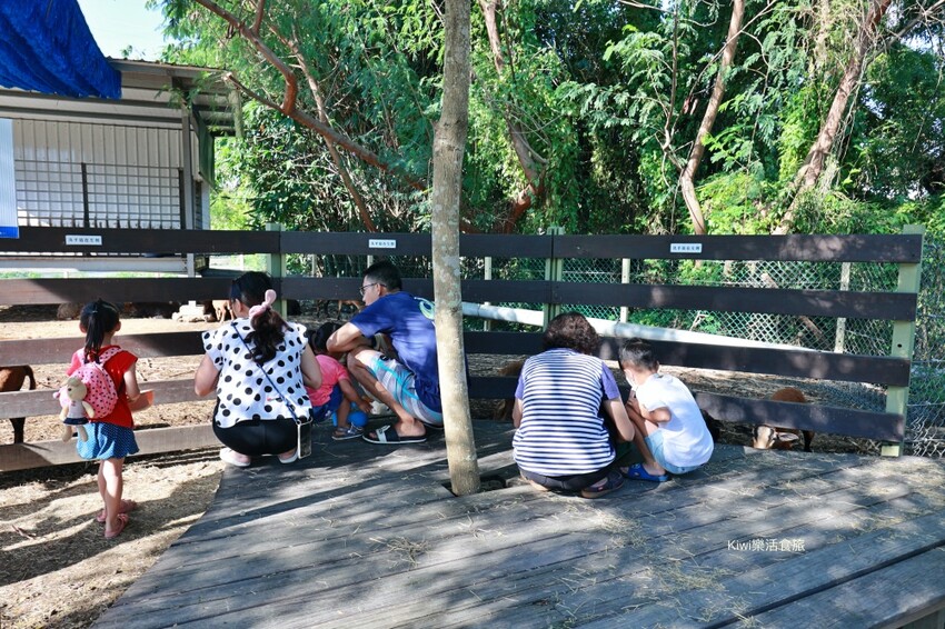 羊舍鮮羊乳彰化市景點｜彰化牧場門市推薦鮮羊乳好好喝，免門票可餵小羊兒