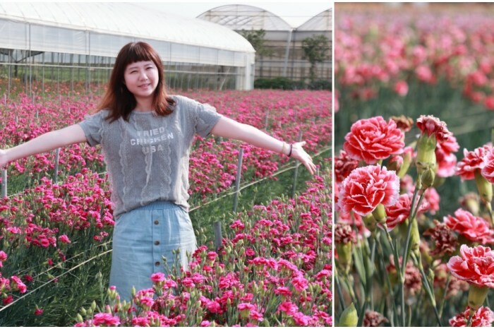 羊舍鮮羊乳彰化市景點｜彰化牧場門市推薦鮮羊乳好好喝，免門票可餵小羊兒