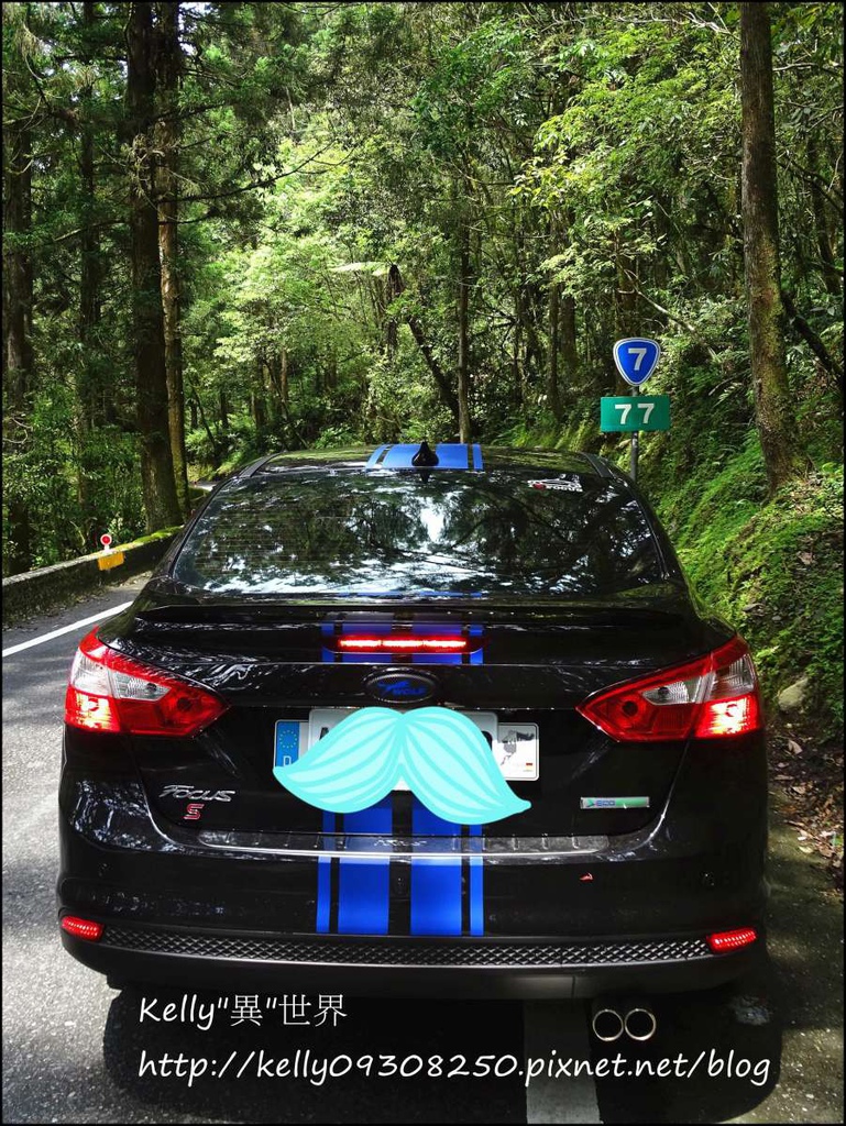 DSC05225_-1200.jpg DSC05225_-1200.jpg